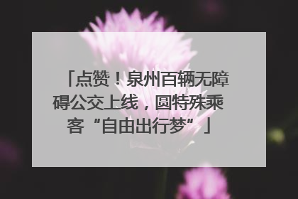 点赞！泉州百辆无障碍公交上线，圆特殊乘客“自由出行梦”