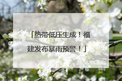 热带低压生成！福建发布暴雨预警！