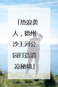 热浪袭人，德州沙王河公园打造清凉秘境