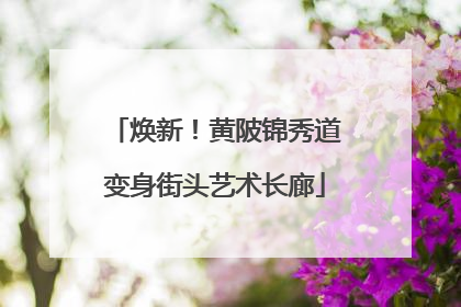 焕新！黄陂锦秀道变身街头艺术长廊