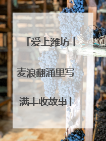 爱上潍坊丨麦浪翻涌里写满丰收故事