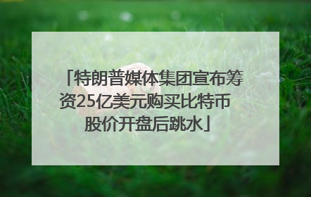 特朗普媒体集团宣布筹资25亿美元购买比特币 股价开盘后跳水