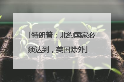 特朗普：北约国家必须达到，美国除外
