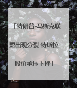特朗普-马斯克联盟出现分裂 特斯拉股价承压下挫