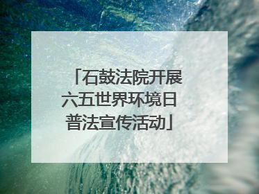 石鼓法院开展六五世界环境日普法宣传活动