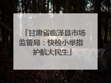 甘肃省临泽县市场监管局：快检小举措 护航大民生