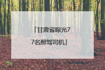 甘肃省曝光77名醉驾司机