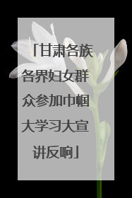 甘肃各族各界妇女群众参加巾帼大学习大宣讲反响