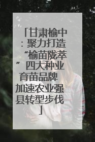 甘肃榆中：聚力打造“榆苗陇萃”四大种业育苗品牌 加速农业强县转型步伐