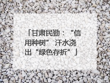 甘肃民勤：“信用种树” 汗水浇出“绿色存折”