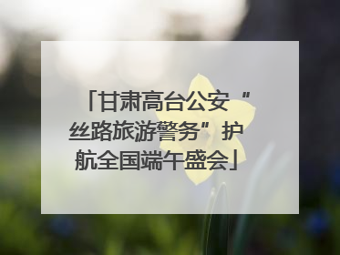 甘肃高台公安“丝路旅游警务”护航全国端午盛会