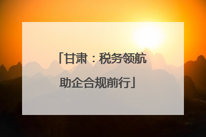 甘肃：税务领航 助企合规前行