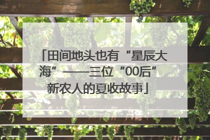 田间地头也有“星辰大海”——三位“00后”新农人的夏收故事