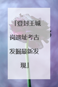 登封王城岗遗址考古发掘最新发现