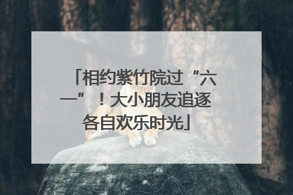 相约紫竹院过“六一”！大小朋友追逐各自欢乐时光