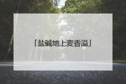 盐碱地上麦香溢