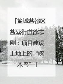 盐城盐都区盐渎街道徐志刚：项目建设工地上的“啄木鸟”