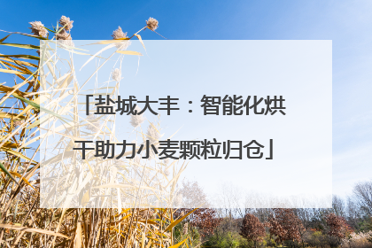 盐城大丰：智能化烘干助力小麦颗粒归仓