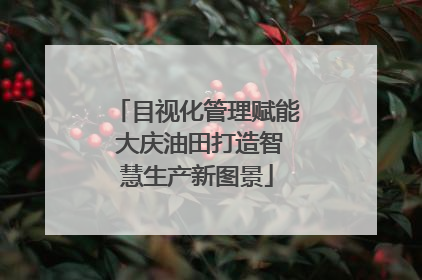 目视化管理赋能 大庆油田打造智慧生产新图景