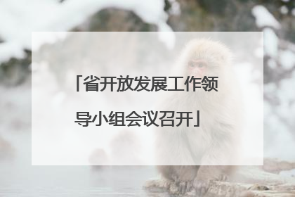 省开放发展工作领导小组会议召开