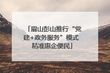 眉山彭山推行“党建+政务服务”模式 精准惠企便民