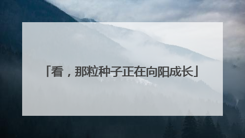 看，那粒种子正在向阳成长