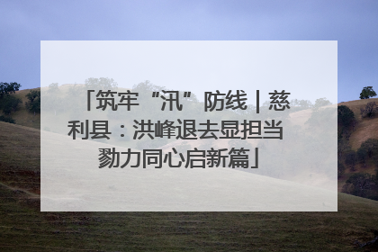 筑牢“汛”防线｜慈利县：洪峰退去显担当 勠力同心启新篇
