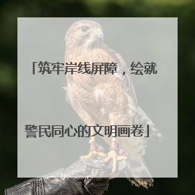 筑牢岸线屏障，绘就警民同心的文明画卷