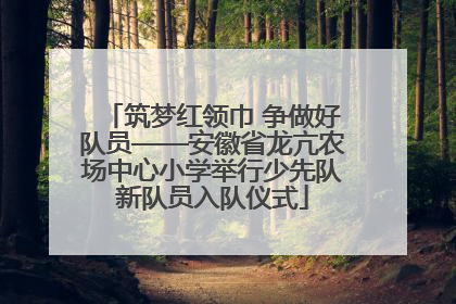 筑梦红领巾 争做好队员——安徽省龙亢农场中心小学举行少先队新队员入队仪式