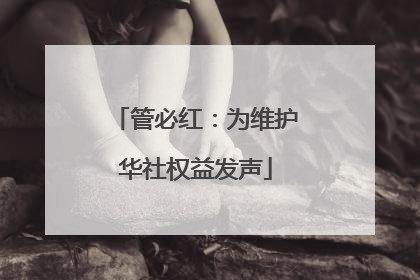 管必红：为维护华社权益发声