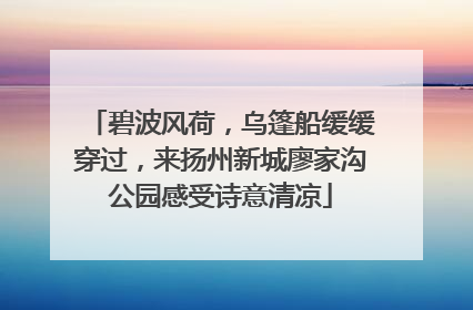 碧波风荷，乌篷船缓缓穿过，来扬州新城廖家沟公园感受诗意清凉