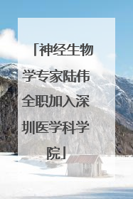 神经生物学专家陆伟全职加入深圳医学科学院
