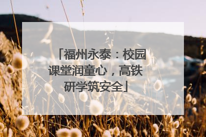 福州永泰：校园课堂润童心，高铁研学筑安全