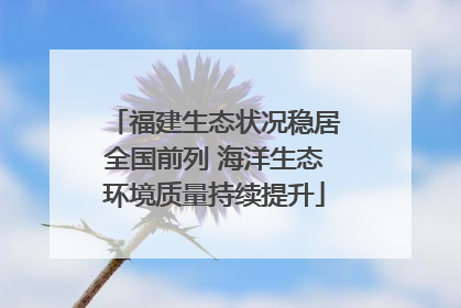 福建生态状况稳居全国前列 海洋生态环境质量持续提升
