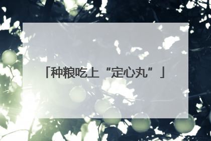 种粮吃上“定心丸”