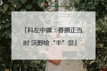科左中旗：春播正当时 沃野绘“丰”景
