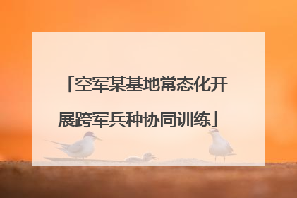 空军某基地常态化开展跨军兵种协同训练