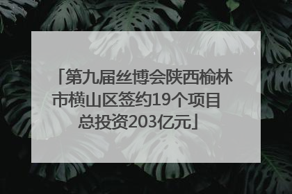 第九届丝博会陕西榆林市横山区签约19个项目 总投资203亿元