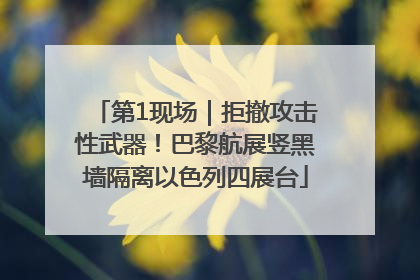 第1现场｜拒撤攻击性武器！巴黎航展竖黑墙隔离以色列四展台