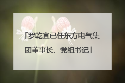 罗乾宜已任东方电气集团董事长、党组书记