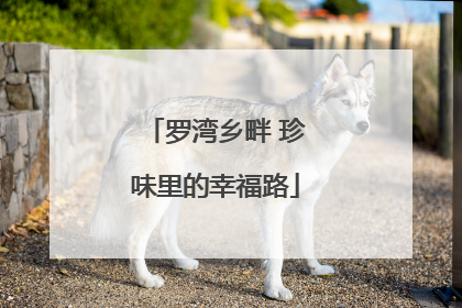 罗湾乡畔 珍味里的幸福路