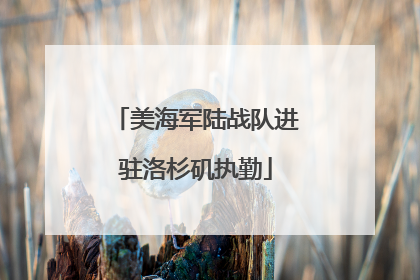 美海军陆战队进驻洛杉矶执勤