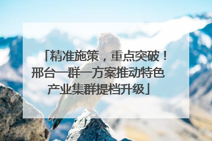 精准施策，重点突破！邢台一群一方案推动特色产业集群提档升级