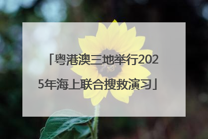 粤港澳三地举行2025年海上联合搜救演习