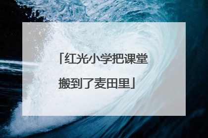 红光小学把课堂搬到了麦田里