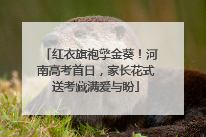 红衣旗袍擎金葵！河南高考首日，家长花式送考藏满爱与盼