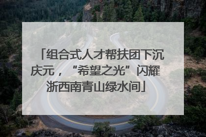 组合式人才帮扶团下沉庆元，“希望之光”闪耀浙西南青山绿水间