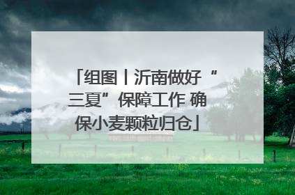 组图丨沂南做好“三夏”保障工作 确保小麦颗粒归仓