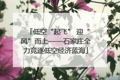 低空“起飞” 迎“风”而上——石家庄全力竞逐低空经济蓝海