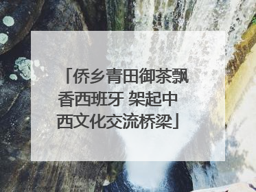 侨乡青田御茶飘香西班牙 架起中西文化交流桥梁